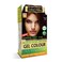 Indus Valley Natural Organic Damage Free Gel Hair Color   Ammonia Free, Vegan &amp; Cruelty Free   Up to 100% Gray Coverage, Long Lasting Results  Burgundy 3.6 (20gram+200ml)