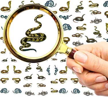 Nail Decal Stickers (5 Sheets) FLONZNAIL Snakes Cobra Realistic Pictures