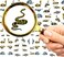 Nail Decal Stickers (5 Sheets) FLONZNAIL Snakes Cobra Realistic Pictures