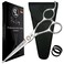 Professional 6.5&rdquo; Hair Cutting Scissors &ndash; German High Carbon Stainless Steel Barber Shears, Razor Convex Sharp Blades, Ergonomic Design for Salon, Home, Men, Women, Kids &amp; Pets &ndash; with Pouch