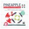 It's Sew Emma Quilt Block Foundation Paper-12 Pineapple, Multicolored