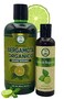 Shampoo Organic Bergamot (16.9 fl oz) with Aloe Vera &amp; Rosemary + Bergamot Oil (125 ml)   Shampoo Org&aacute;nico Bergamota con S&aacute;bila &amp; Romero + Aceite Bergamota:
