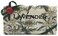 Alchimia Ladybug Lavanda (Lavender) Vegetable Soap Handmade In Italy - 10.5 oz Soap Bar