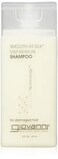 Giovanni Smooth As Silk&trade; Deep Moisture Shampoo -- 2 fl oz