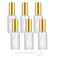 Glass Spray Bottles 6 Packs Perfume Atomizer Fine Mist Spray Bottles For Essential Oils Frosted Sprayer Bottles Portable Travel Spray Bottles (50ml/1.7oz)