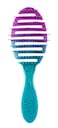 Wet Brush Brush Pro Flex Dry Teal Ombre