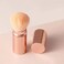 Retractable Kabuki Brushes Blush Brush Foundation Powder Brush Face Blender Brush Multi-function Cosmetic Makeup Brush Professional Mineral Blending Buffing Concealer Brush Aluminum Case