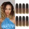 Bileaf Passion Twist Hair 10 Inch Crochet Hair Pre Lopped Crochet Boho Passion Twist Crochet Hair 8 Packs Bohemian Short Crochet Twist Braiding Hair Passion Twists Ombre Color 4-30-27