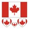 Canadian Flag Tattoos,10 Sheets Canada Flag World Cup Sports Temporary Face Tattoos Stickers,40 Pcs Waterproof Sweat Sports National Flag Tattoos For Men Kids Women(Canada)