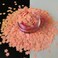 PrettyG 10 Grams/Pack - Sakuras Sequins Glitter - Festival Rave Beauty Makeup Face Body Nail Art Decoration C18RF