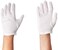 Cotton Gloves-Ladies, Small, Cara 81-4 Pairs
