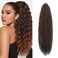Drawstring Curly Ponytail Extension for Women 22Inch Long Afro Kinky Ponytail Extension 1Pcs (SP2/4/30, 22inches)