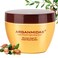 Hydrating Argan Oil Instant Repairing Hair Mask, Deep Conditioner Hair Treatment for Dry Damaged, Curly, Dye, Split End and Bleached Hair,10.2 Fl Oz