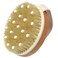 Dry Body Brush, Natural Bristle Bath Brush, Lymphatic Drainage, Exfoliate, Stimulate Blood Circulation, Remove Dead Skin Toxins and Cellulite