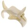 Camila Paris CP3535 French Hair Clip for Women, 2 Teeth Ponytail Holder, Beige, Girls Hair Claw Clips Jaw Fashion Durable Styling Hair Accessories for Women, Strong Hold No Slip Grip, Made in France