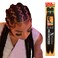 Sensationnel X-pression prestretched braiding hair - 2x xpression 72 inch all kanekalon flame retardant synthetic braid in hair extensions - 2X 72 Inch (1 pack, 613)