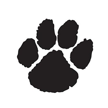 Anderson's 100-Piece Black Paw Body Decal Set, Tattoos, Cheek Cheers, Fan Gear, Sports Fan Gear,School Spirit, Football Cheerleader Accessories, Homecoming