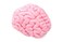GIANTmicrobes Brainwashed Soap