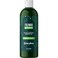 Folimax Biotin Shampoo for Thinning Hair - Thickening Shampoo with Biotin Zinc and Rosemary Oil for Hair Growth - Vegan Sulfate and Paraben Free Volumizing Shampoo for Fine Hair (Rosemary Scent)
