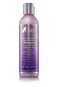 The Mane Choice Pink Lemonade Super Anti-Oxidant &amp; Texture Beautifier Shampoo