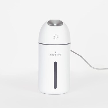 Hey Dewy Portable Facial Hydrating Cool Mist Humidifier (USB Wired Version)