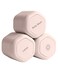 Cadence Travel Containers - Body Care Capsule Set - Magnetic Travel Capsules - For Wash, Lotions, Sunscreens - 3 Flex Mediums (1.32oz) with Body Wash, Lotion, &amp; Sun Icon Labels - Petal