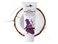 Coconut Oil Moisturizer (Lost in Lavender)