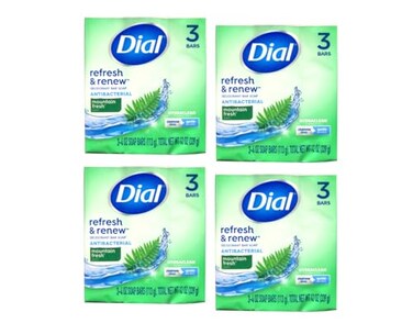 Dial Mountain Fresh Antibacterial Deodorant Bar Soap 3, 4 oz Soap Bars (Packs of 4)