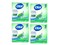 Dial Mountain Fresh Antibacterial Deodorant Bar Soap 3, 4 oz Soap Bars (Packs of 4)