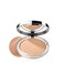 Clinique Stay-Matte Sheer Pressed Powder For Oily Skin Types  Matte Finish + Minimizes Shine