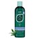 HASK Tea Tree &amp; Rosemary Oil Scalp Care Shampoo - 12 fl oz