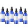 SMART SOLUTIONS Small Mini Plastic Spray Bottles, 2 oz 6 Pack with Labels (Blue)