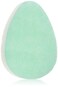 Body Benefits-Gentle Exfoliating Facial Scrub Sponge-0.02 Pound (Pack of 6); For Improved Facial Cleansing Circulation and Healthier Look(Packaging May Vary)