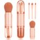 4 in 1 Travel Makeup Brushes Set, Portable Retractable Travel Makeup Brushes, Foundation, Blush Powder, Eye Shadow, Concealer Brush for Women Makeup Brush Cruelty-Free