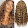 16Inch Highlighted Deep wave Lace Front Wig Human Hair Honey Blonde Highlight Deep Wave Wigs Human Hair 4/27 Curly Highlighted Wig for Black Women Pre-Plucked 180% Ombre Curly Wigs Glueless
