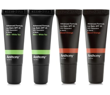 Anthony 25 SPF Lip Balm with Sunscreen for Lips &ndash; Contains Green Tea Extract, Shea Butter &amp; Vitamin E &ndash; Moisturizing Repair Care Treatment for Chapped &amp; Dry Lips 4-Pack