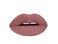 Aromi Matte Liquid Lipstick   Grey Brown Lip Color, Greige, Vegan, Cruelty-free, Waterproof, Long-Lasting, Dye and Lead-Free Lipstick (Sepia Brown)