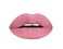 Aromi Matte Liquid Lipstick   Long-Lasting, Dusty Rose Lip Color, Waterproof, Rosy Nude Shade, Vegan Makeup, Cruelty-free (Berry Nude)