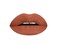 Aromi Matte Liquid Lipstick   Brown Nutmeg Lip Color, Long Wear, Transfer Proof, Paraben, Phthalate, + Gluten Free, Waterproof, Vegan (Dark Caramel)