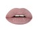 Aromi Desert Taupe Matte Liquid Lipstick   Greige, Grey Beige Lip Color, Long-Lasting Lipstick, Handmade, Day to Night (Desert Taupe)