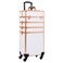 AROUS Rolling Makeup Train Case Large Storage Cosmetic Trolley 4 in 1 Large Capacity Trolley Makeup Travel Case with Key Swivel Wheels Salon Barber Case Traveling Cart Trunk, White