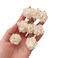 12 Pcs White Mini Rose Hair Clip Jasmine Flower Hair Clip Hair Barrettes Headpiece Vintage Hair Pins for Party Wedding Daily