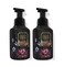 Bath and Body Works Gentle Foaming Hand Soap 8.75 Ounce 2-Pack (Firefly Forest)
