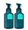 Bath and Body Works Gentle &amp; Clean Foaming Hand Soap 8.75 Ounce 2-Pack (Frozen Lake)