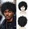 BECUS Dreadlock Toupee for Men Short Braided Toppers for Black Women Curly Synthetic Wiggy