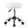 White Classic Swivel Stool with Wheel Perfect for Salon Work Home SPA Shop Height-Adjustable and Cost-Effective Rolling Stool Chair Small