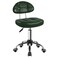 Square Minimalist Swivel Stool with Wheel Perfect for Work SPA Shop Massage Height-Adjustable and Cost-Effective Rolling Stool Chair with Back (Green)