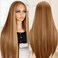 Lace Front Wig Honey Blonde Synthetic Pre-Plucked Highlight Glueless Wigs 30 Inch Straight Hair Wig Ready To Wear (Honey Blonde 4/27, 30 Inch)