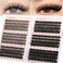 Calphidar Eyelash Clusters 30D+40D+50D+60D+80D+100D Lash Clusters Wispy Individual Lashes 476PCS D Curl Lash Extension 8-16MM Natural Lashes Clusters DIY Cluster Eyelash Extensions for Beginners