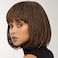 Knotless Braided Wigs for Black Women Heat Resistant Fiber Soft Synthetic Short Bob Box Braided Wig with Bangs African American Braided Wigs (10 inches, Dark Brown)